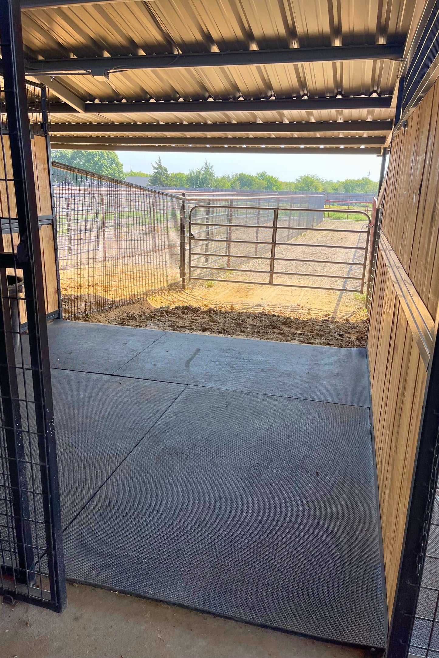 Horse Boarding
